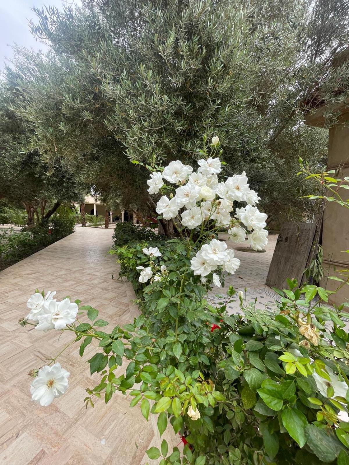 Riad Le Jasmin Taroudant Exterior foto